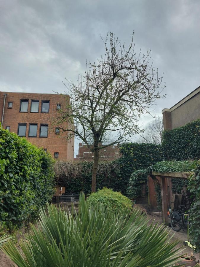Saya Boutique Hotel Amersfoort Zewnętrze zdjęcie
